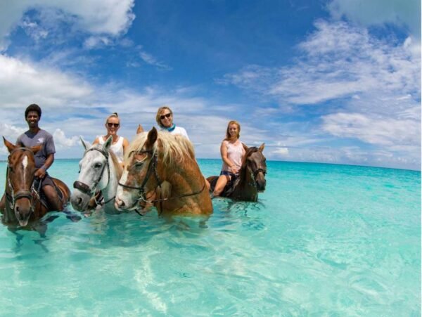 Horseback-dunns river - blue hole - Image 2